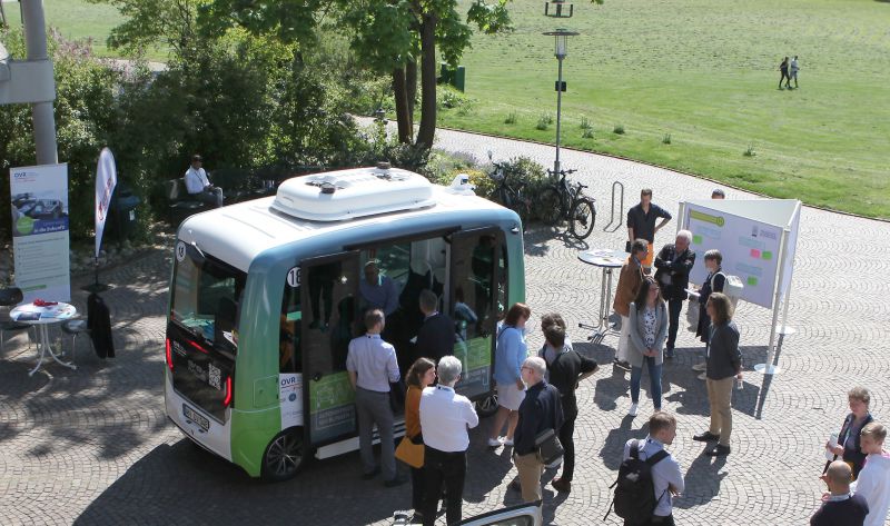 Ameise mit Menschenansammlung